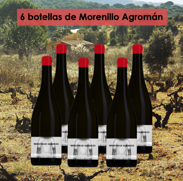 Caja de 6 botellas Morenillo Agromán
