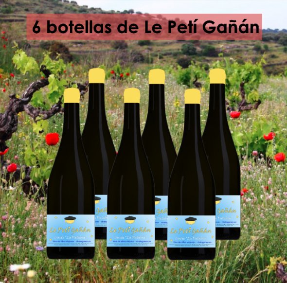 Caja de vinos artesanos Le Petí Gañán